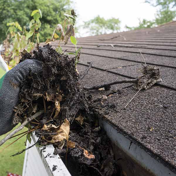 Rain gutter cleaning prevents flooding.