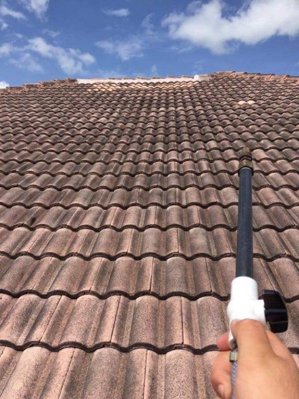 Roof cleaning service in progress