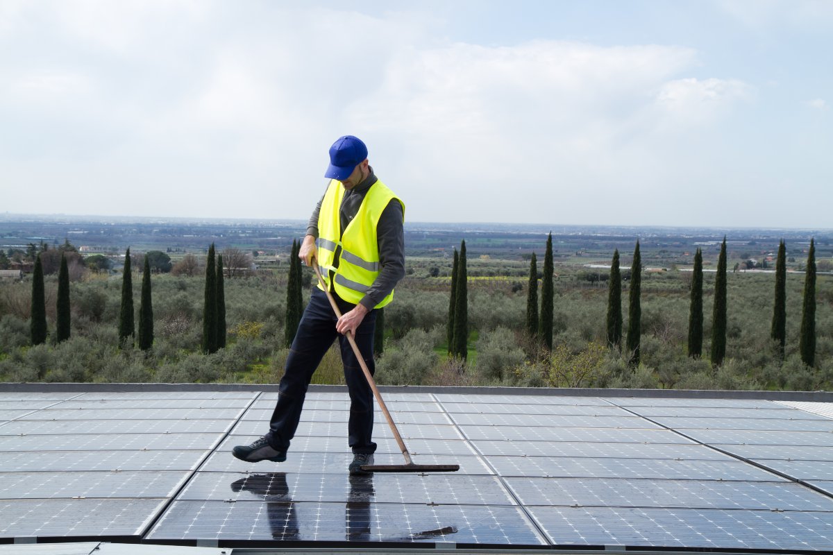 Solar Panel Cleaning Service